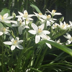 Meet your Posher, Molly